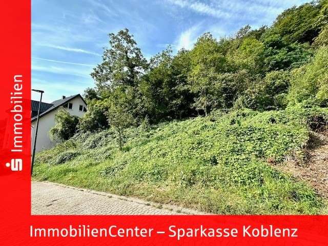  Land in Mayen-Koblenz, Germany No. 142347
