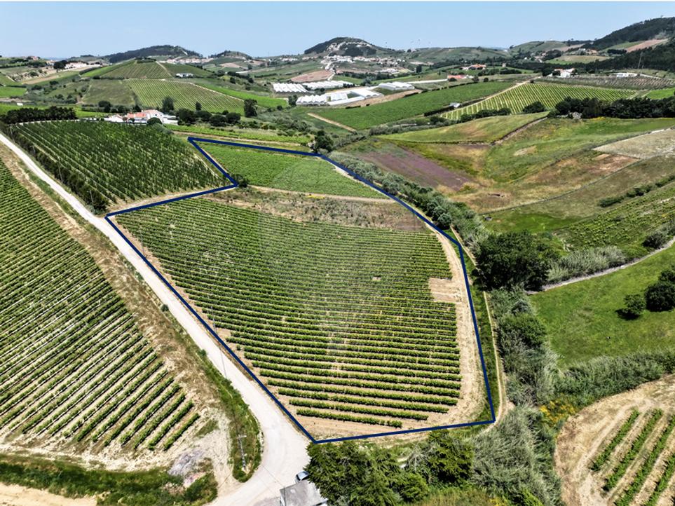 Terrain à Mafra, Portugal No. 281367