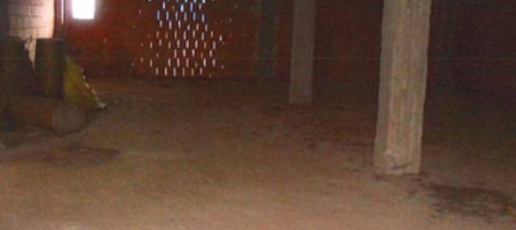 3-Zimmer Wohnung in Irsina, Italy, Nr. 301493 5