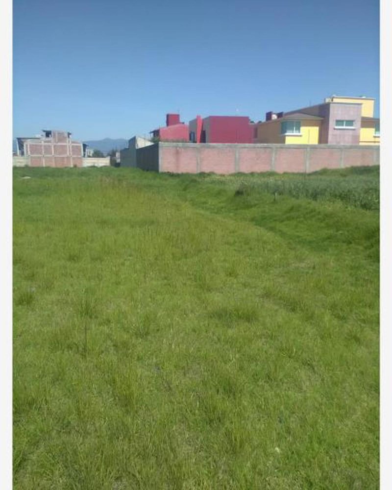 Grundstück in Mexico, Nr. 205184