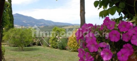 7 bedrooms House in Città della Pieve, Italy No. 58485 14