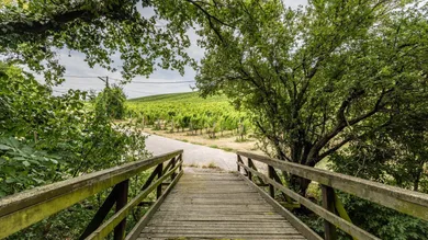 Terrain à Dobling, Austria No. 165178
