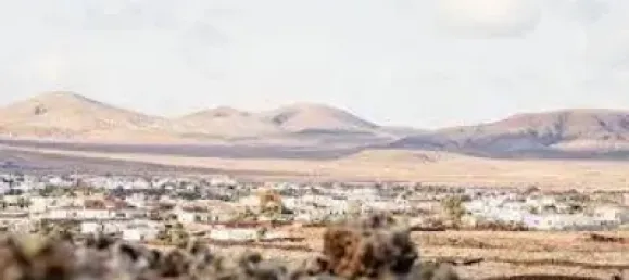  قطعة أرض في La Oliva, Spain 1040متر مربع رقم 169774 4