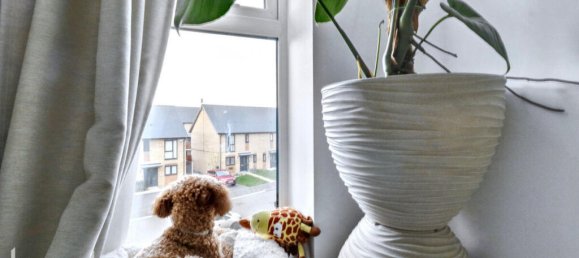 2 bedrooms Apartment in Grays, United Kingdom No. 4991 13