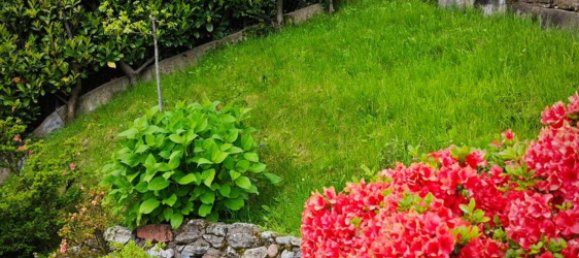 8 rooms Villa in Rancio Valcuvia, Italy No. 251044 14