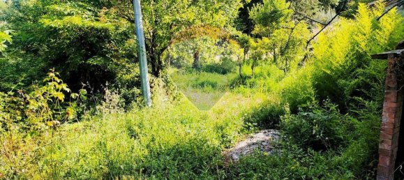 Дом с 10 комнатами в Роккастрада, Италия № 112487 26