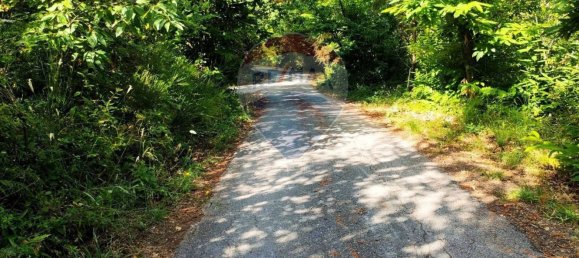 Дом с 10 комнатами в Роккастрада, Италия № 112487 21