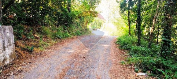 Дом с 10 комнатами в Роккастрада, Италия № 112487 11