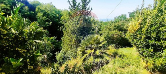 Дом с 10 комнатами в Роккастрада, Италия № 112487 25