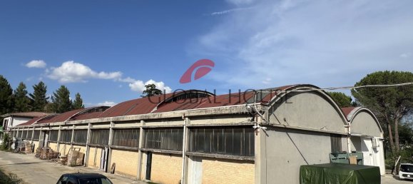 Almacén en Montorio al Vomano, Italy 1600 m² No. 169113 11