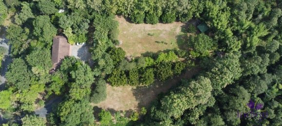  Land in San Pa Tong, Thailand No. 19629 9