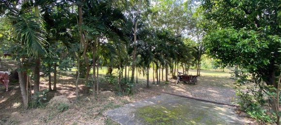  Land in San Pa Tong, Thailand No. 19629 5