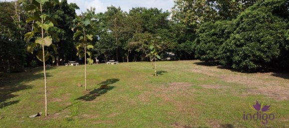  Land in San Pa Tong, Thailand No. 19629 10
