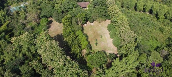  Land in San Pa Tong, Thailand No. 19629 11