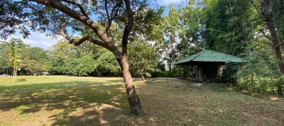  Land in San Pa Tong, Thailand No. 19629 7