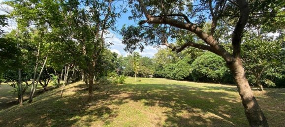  Land in San Pa Tong, Thailand No. 19629 6