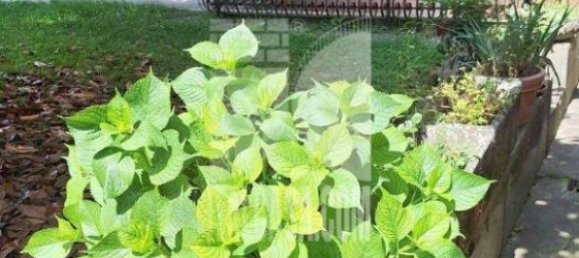 2 bedrooms Apartment in Porto Mantovano, Italy No. 346783 2