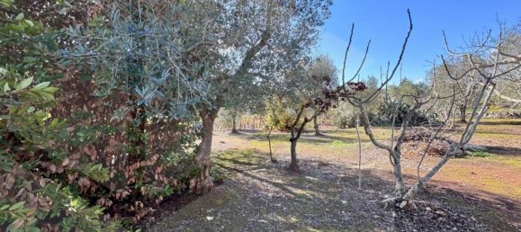 6-Zimmer Haus in Ostuni, Italy, Nr. 25368 13