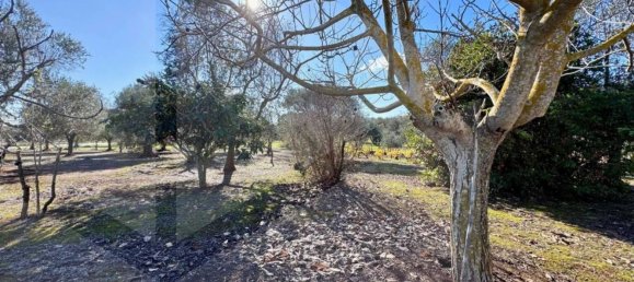 6-Zimmer Haus in Ostuni, Italy, Nr. 25368 10