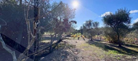 6-Zimmer Haus in Ostuni, Italy, Nr. 25368 12