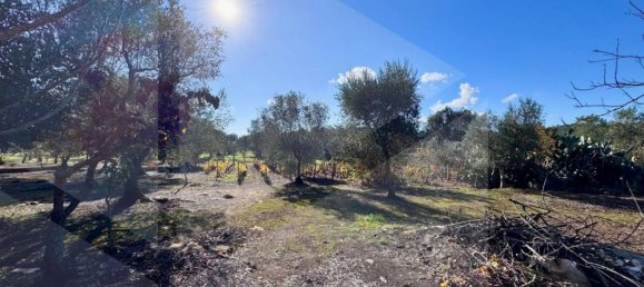 6-Zimmer Haus in Ostuni, Italy, Nr. 25368 11