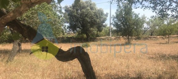 4 Schlafzimmer Haus in Silves, Portugal, Nr. 118329 9