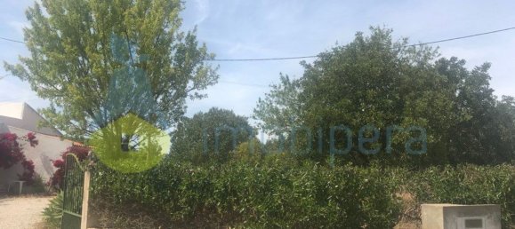 4 Schlafzimmer Haus in Silves, Portugal, Nr. 118329 34