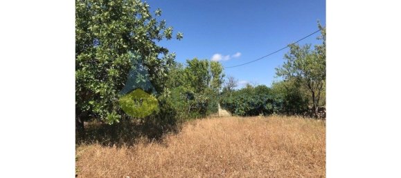 4 Schlafzimmer Haus in Silves, Portugal, Nr. 118329 36