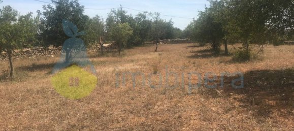 4 Schlafzimmer Haus in Silves, Portugal, Nr. 118329 38