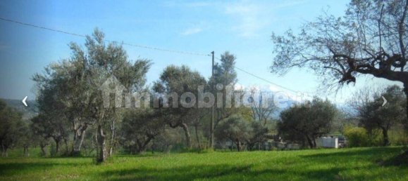 Grundstück in Rosciano, Italy 5120m², Nr. 343616 4