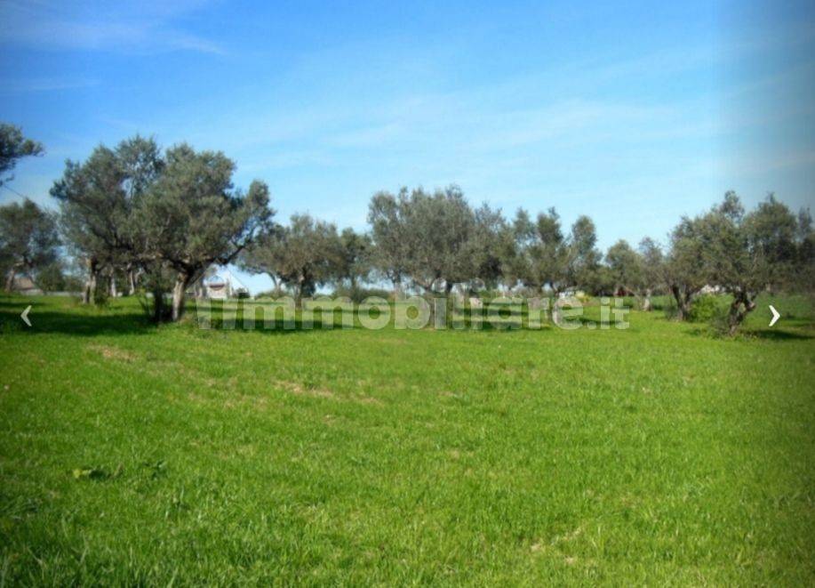 Grundstück in Rosciano, Italy 5120m², Nr. 343616