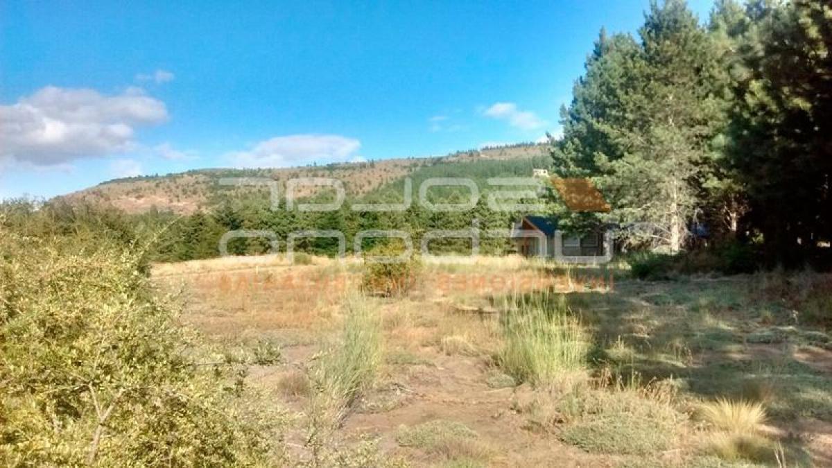  Land in Neuquen, Argentina No. 49881