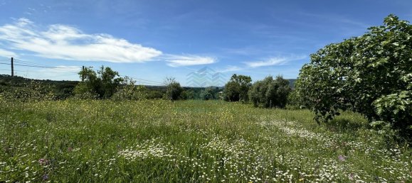 900m² Land in Torres Novas, Portugal No. 78241 8