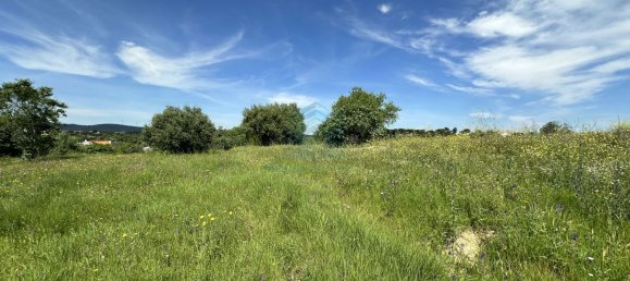 900m² Land in Torres Novas, Portugal No. 78241 3