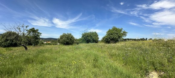 900m² Land in Torres Novas, Portugal No. 78241 20