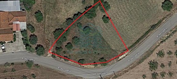 900m² Land in Torres Novas, Portugal No. 78241 22