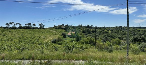 900m² Land in Torres Novas, Portugal No. 78241 15