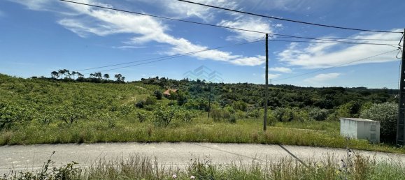900m² Land in Torres Novas, Portugal No. 78241 18