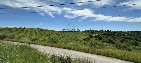 900m² Land in Torres Novas, Portugal No. 78241 19
