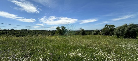 900m² Land in Torres Novas, Portugal No. 78241 11