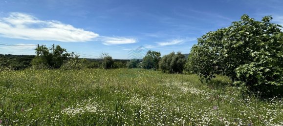 900m² Land in Torres Novas, Portugal No. 78241 10