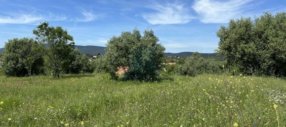 900m² Land in Torres Novas, Portugal No. 78241 13