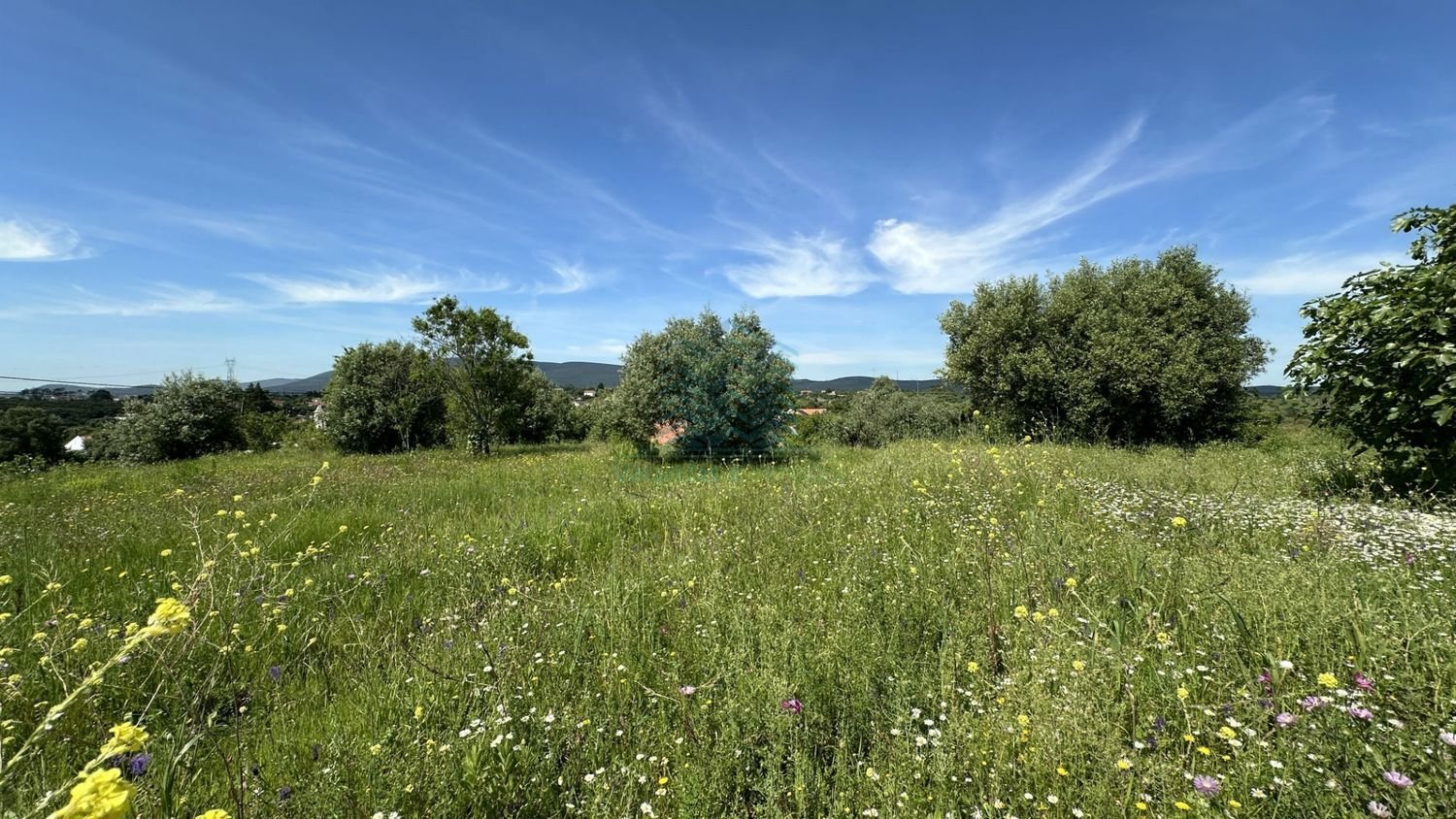 900m² Land in Torres Novas, Portugal No. 78241