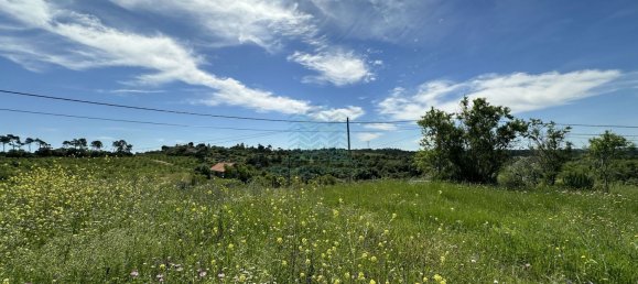 900m² Land in Torres Novas, Portugal No. 78241 12