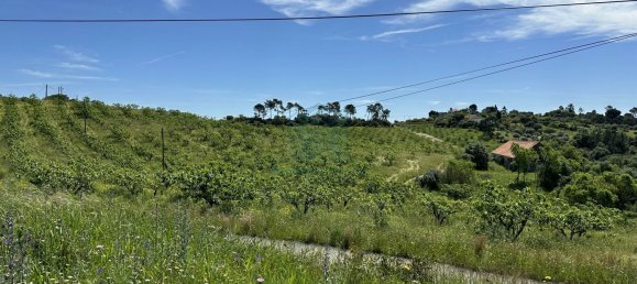 900m² Land in Torres Novas, Portugal No. 78241 17