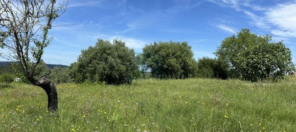 900m² Land in Torres Novas, Portugal No. 78241 5