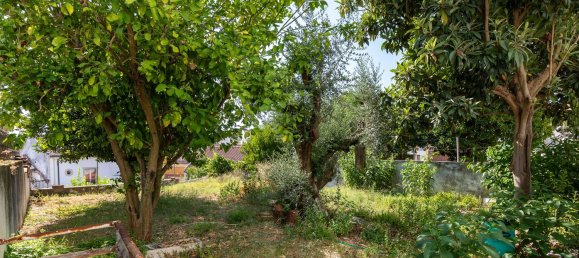 3 Schlafzimmer Haus in Abrantes, Portugal, Nr. 353734 7