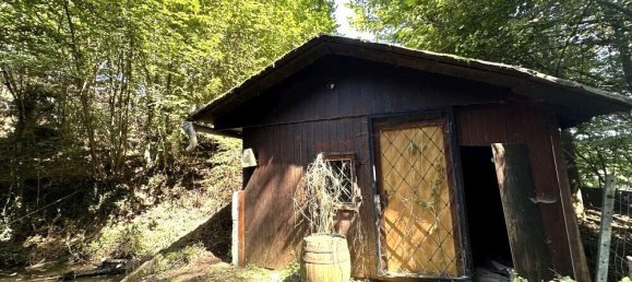 Land in Gamlitz, Austria No. 51071 14