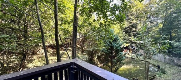 Land in Gamlitz, Austria No. 51071 13