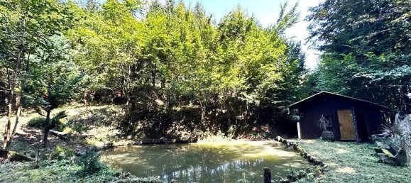 Land in Gamlitz, Austria No. 51071 2